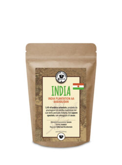 INDIA AA - Plantation Bababudan