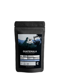 GUATEMALA - Antigua Pastores