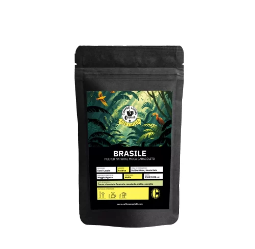 Busta pergamino caracolito Brasile