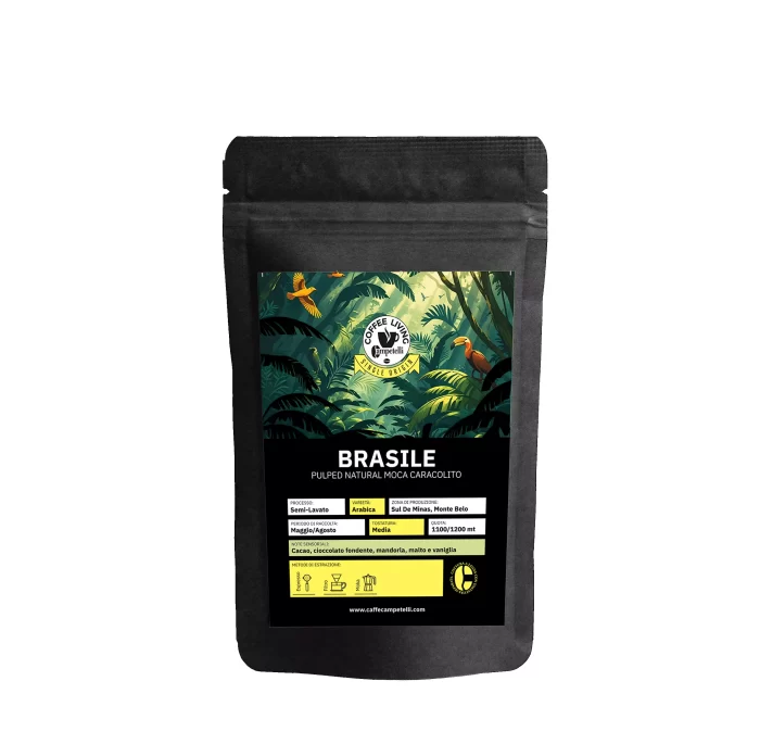 Busta pergamino caracolito Brasile