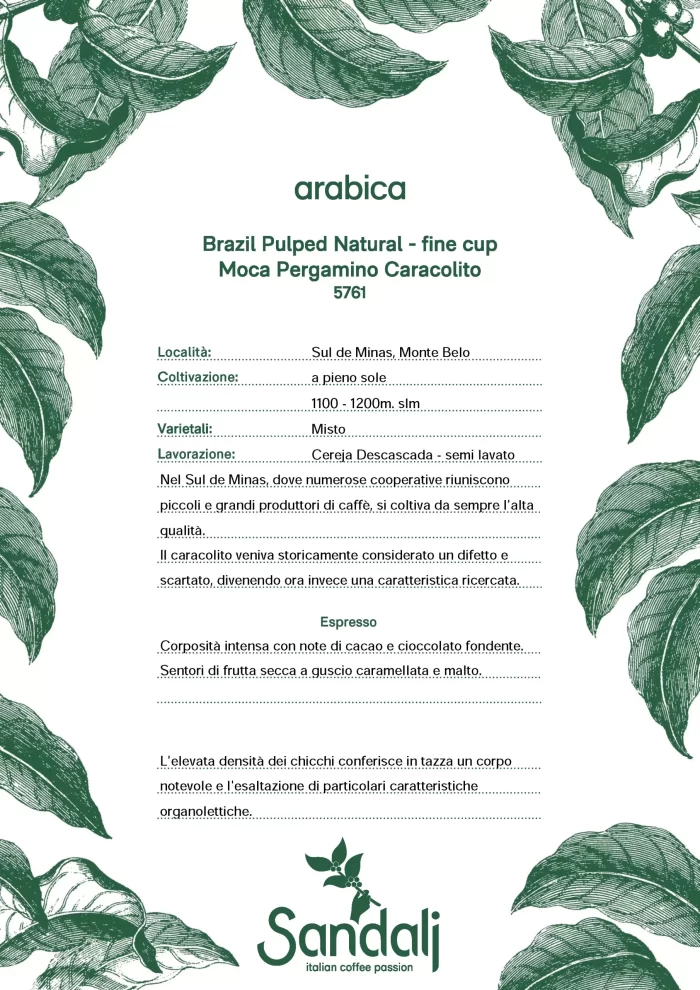 Certificato caffè Brasile Pergamino Caracolito