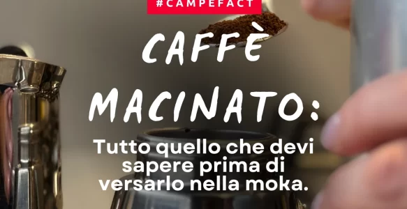 Caffè macinato: tutto quello che devi sapere prima di versarlo nella moka