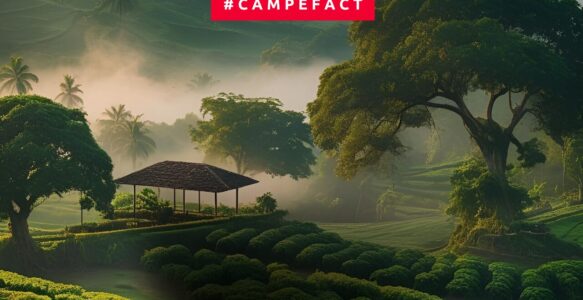 Monorigine a confronto: Etiopia, Colombia, Guatemala