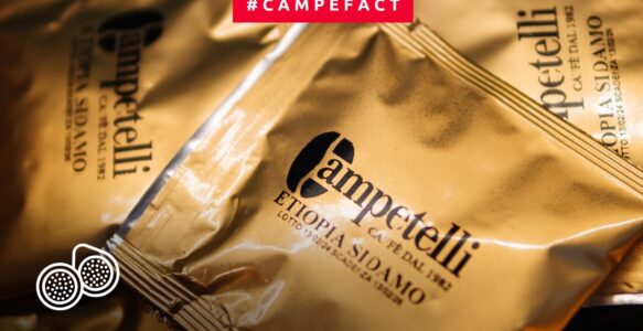 Troubleshooting cialde ESE: 15 problemi comuni e soluzioni lampo